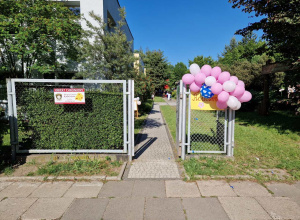 Piknik rodzinny