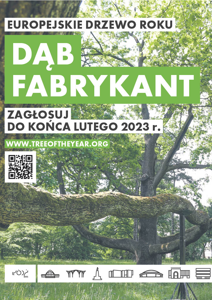 Europejskie Drzewo Roku Dąb Fabrykant- głosowanie
