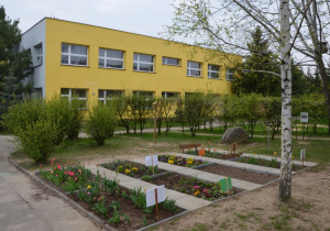 Ogród (grządki przedszkolne)