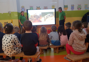 Dzieci oglądają prezentację multimedialną o owadach.